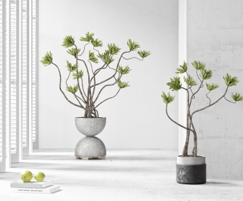 Modern Potted Green Plant-ID:133752228