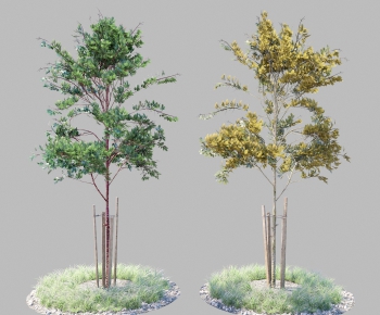 Modern Tree-ID:809461632