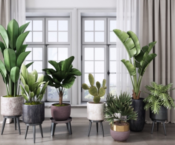 Modern Potted Green Plant-ID:368016146