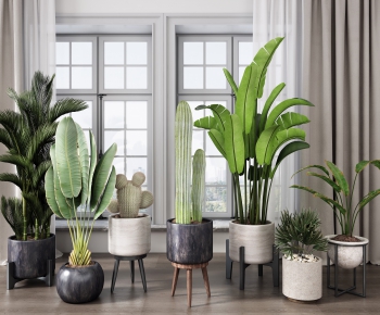 Modern Potted Green Plant-ID:484768391
