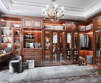 American Style Clothes Storage Area-ID:667331722