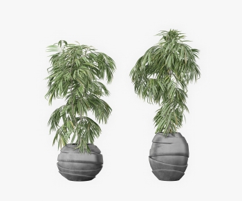 Modern Potted Green Plant-ID:374518833