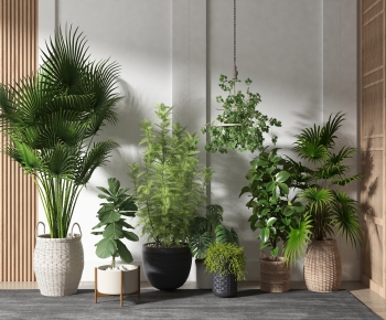 Modern Potted Green Plant-ID:593469464