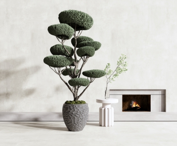 Modern Potted Green Plant-ID:910478868