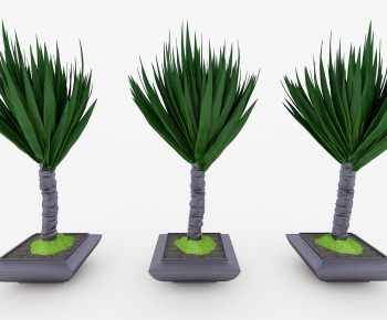 Modern Potted Green Plant-ID:895152153