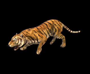 现代动物老虎模型-ID:617224973