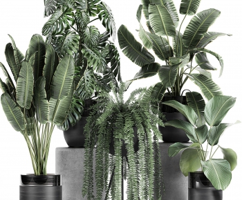 Modern Potted Green Plant-ID:420273248