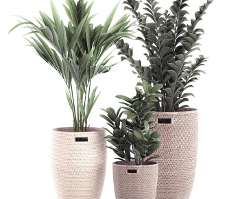 Modern Potted Green Plant-ID:562235969