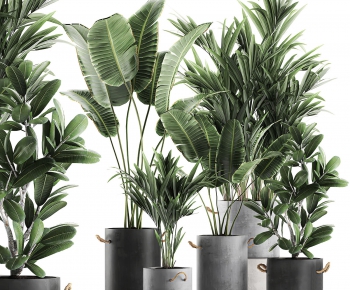 Modern Potted Green Plant-ID:543230925
