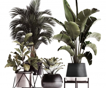 Modern Potted Green Plant-ID:992484234