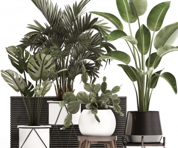 Modern Potted Green Plant-ID:988595628