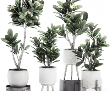 Modern Potted Green Plant-ID:376391316