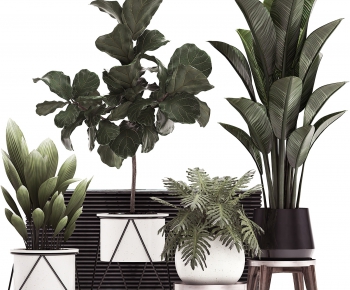 Modern Potted Green Plant-ID:181296312