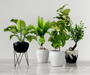 Modern Potted Green Plant-ID:654963625