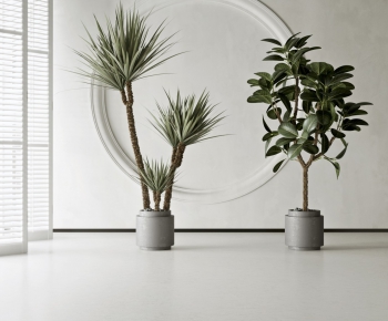 Modern Potted Green Plant-ID:304327837