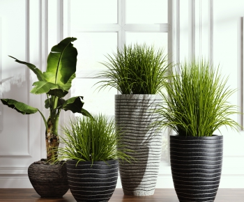 Modern Potted Green Plant-ID:663446347