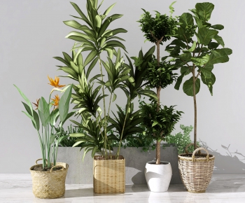 Modern Potted Green Plant-ID:617717251