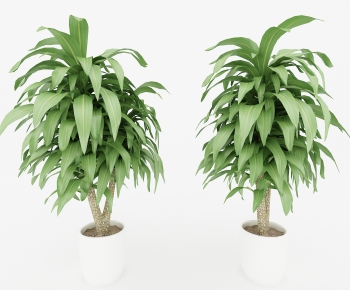 Modern Potted Green Plant-ID:929829471