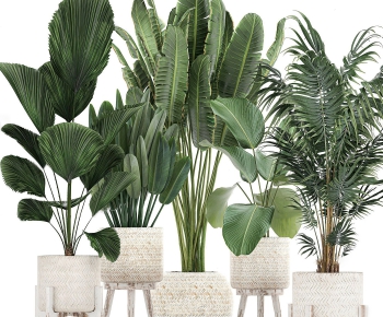 Modern Potted Green Plant-ID:890544629