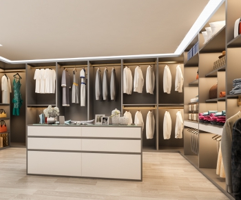 Modern Clothes Storage Area-ID:513187363