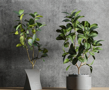 Modern Potted Green Plant-ID:689337489