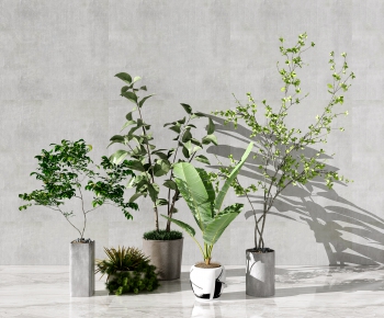 Modern Potted Green Plant-ID:426458194