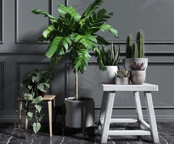 Modern Potted Green Plant-ID:157289365