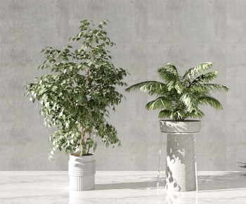 Modern Potted Green Plant-ID:785520214