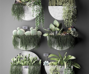 现代绿植墙饰植物组合-ID:587205546