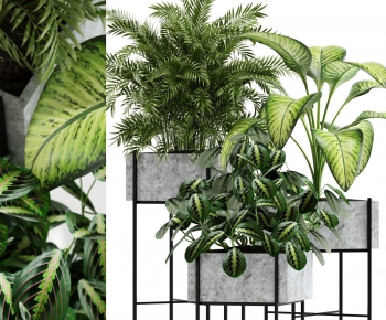 Modern Potted Green Plant-ID:466238334