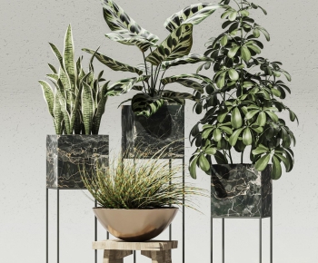 Modern Potted Green Plant-ID:556122918