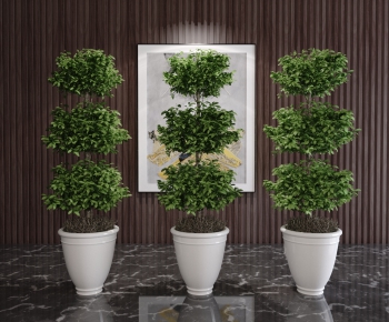 Modern Potted Green Plant-ID:161938918