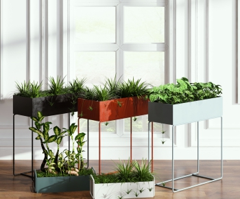 Modern Potted Green Plant-ID:584507943