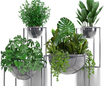 Modern Potted Green Plant-ID:509354112
