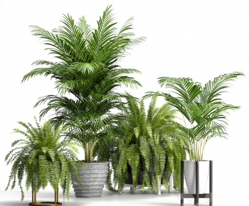 Modern Potted Green Plant-ID:417805918