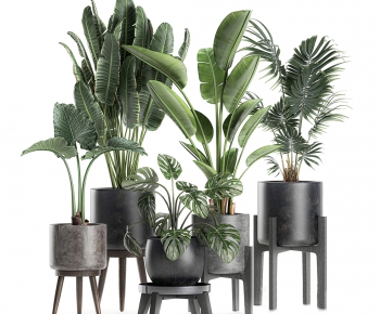Modern Potted Green Plant-ID:682694913