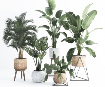 Modern Potted Green Plant-ID:250773912