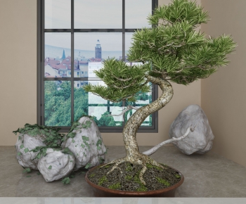 Modern Bonsai-ID:287065038