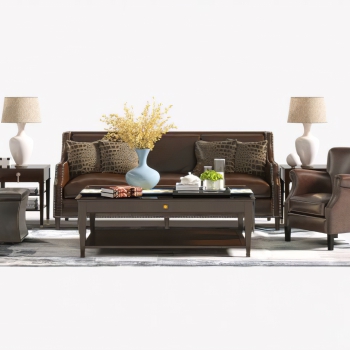 American Style Sofa Combination-ID:768001148