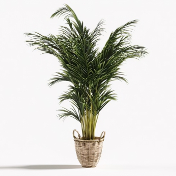 Modern Potted Green Plant-ID:681988003