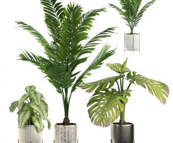 Modern Potted Green Plant-ID:446422104