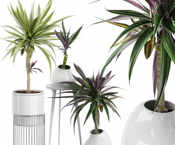 Modern Potted Green Plant-ID:376063119