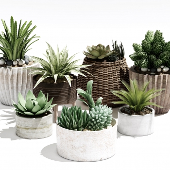 Modern Potted Green Plant-ID:257518055