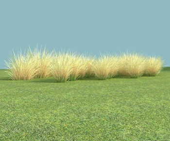 Modern The Grass-ID:410289842