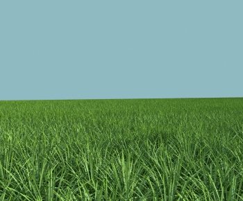 Modern The Grass-ID:485914955