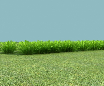 Modern The Grass-ID:765409526