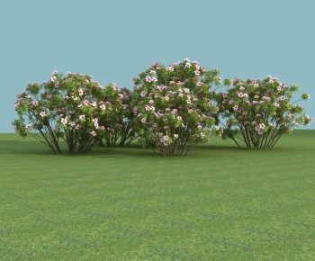 Modern Shrubbery-ID:642534023