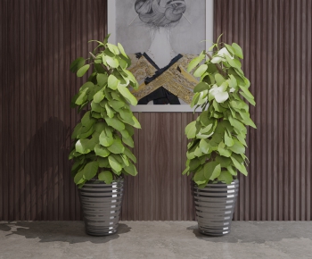 Modern Potted Green Plant-ID:537653921