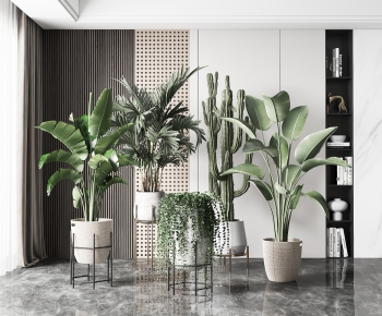 Modern Potted Green Plant-ID:587528944