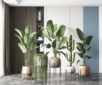 Modern Potted Green Plant-ID:649382115